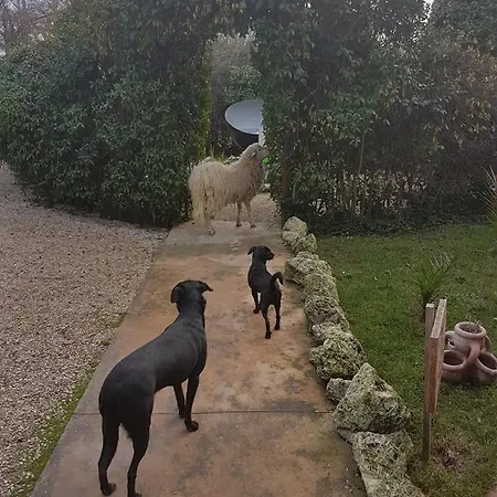 Casa di campagna Arca Di Noe *