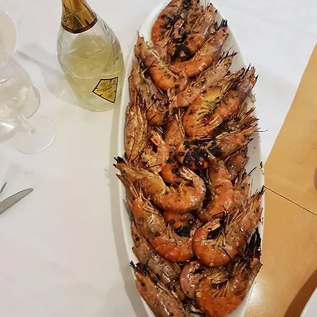 Arca Di Noe Casa di campagna Senigallia